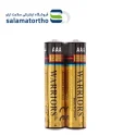 پالس اکسی متر زنیتمد BM1000B (2)